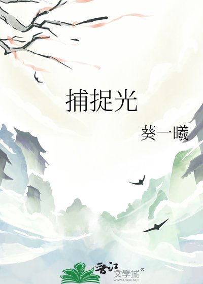《捕捉光》