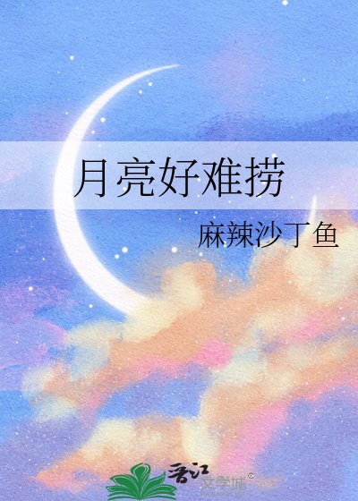 《月亮好难捞》