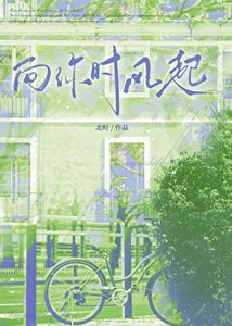 《向你时风起》