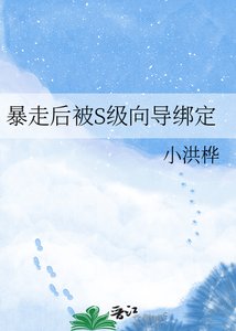 《暴走后被S级向导绑定》