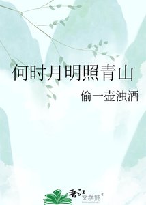 《何时月明照青山》