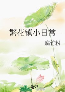 《繁花镇小日常》