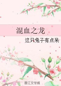《(BL/游戏王同人)混血之龙》