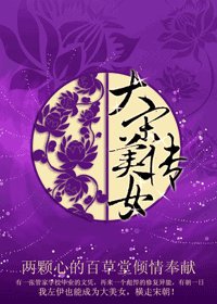 大宋美女传/大宋美人传