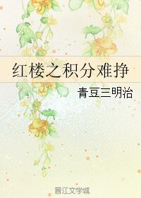 （BG/红楼同人）红楼之积分难挣
