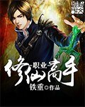 《职业修仙高手》