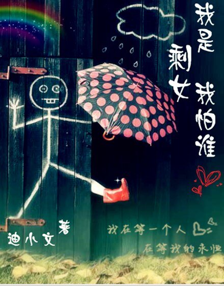 我是剩女我怕谁(高干)
