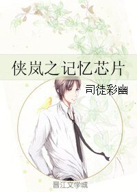 《(BL/侠岚同人)侠岚之记忆芯片》
