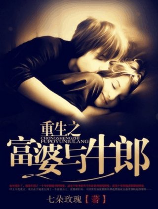 重生之富.婆与牛郎