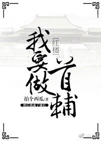 （BG/红楼同人）[红楼]我要做首辅