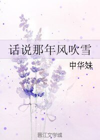《话说那年风吹雪》