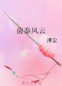 《前秦风云》