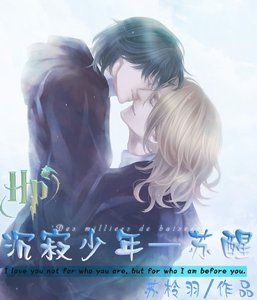 《(HP同人)HP沉寂少年—苏醒》