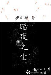 暗夜之尘
