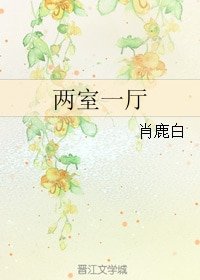 《两室一厅》