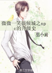 （微微一笑同人）微微一笑很倾城之npc的升级史