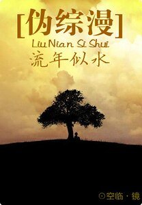 （伪综漫同人）流年似水