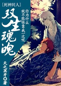 （死神同人）双生魂魄 cp：白黑一护