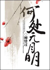 何处无月明