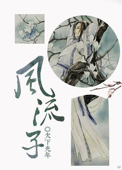 如何攻略王君/风流子