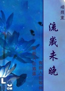 《流岁未晚》