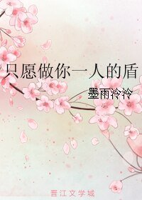 （剑灵同人）只愿做你一人的盾