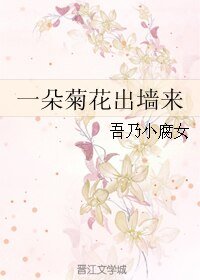 一朵菊花出墙来