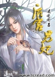 宫外风起（后宫男妃后传）