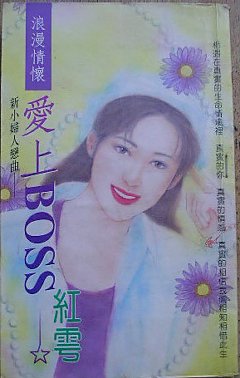 爱上Boss（新小妇人恋曲之一）