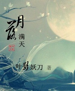 《异世之月落满天》