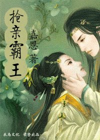 抢亲霸王（乱世夺心之八）
