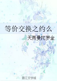 等价交换之约么