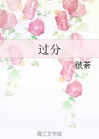 过分