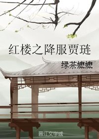 （红楼梦同人）红楼之降服贾琏