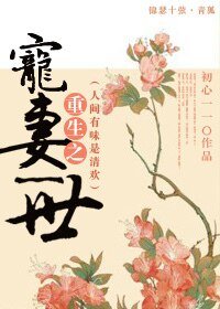 重生之宠妻一世