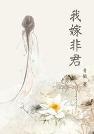 我嫁非君