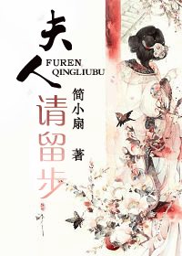 夫人，请留步