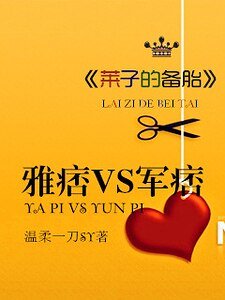 莱子的备胎：雅痞VS军痞