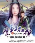 紫钗红颜
