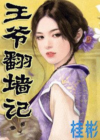 《王爷翻墙记》
