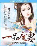一品废妻/凤隐天下