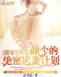 《甜爱N次方:颜少的绝密追妻计划》
