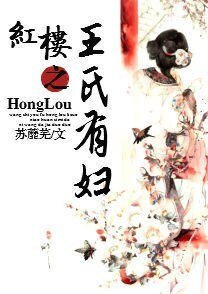 （BG/红楼同人）红楼之王氏有妇
