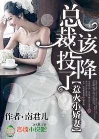 《惹火小娇妻,总裁该投降了/总裁该投降了》