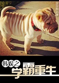 （BG/韩娱同人）韩娱之学霸重生
