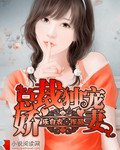 总裁的独宠妻/总裁独宠娇妻