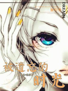 《(BG/网王+花样同人)被遗忘的时光/当我爱上你》