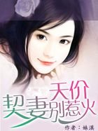 天价契妻别惹火
