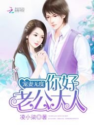 《宠妻无度:你好,老公大人》