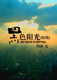 《(BG/综韩同人)黑色阳光》